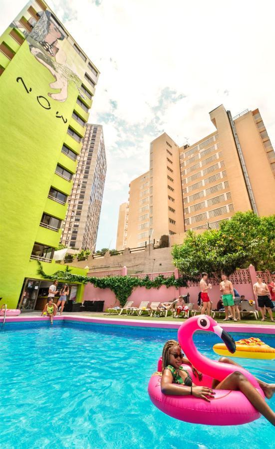 Now Benidorm Apartamento Exterior foto